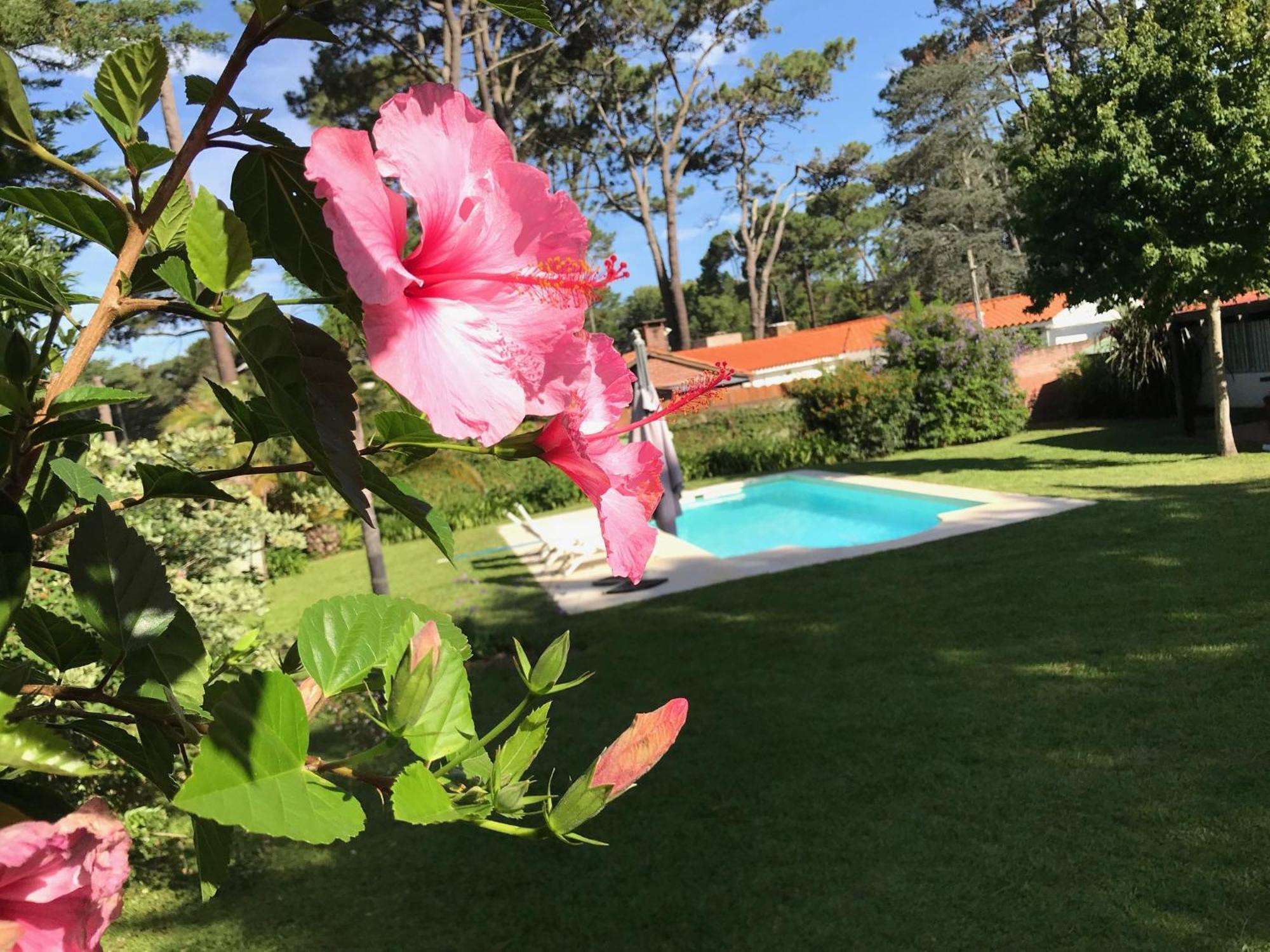 Willa El Gauchito Punta del Este Zewnętrze zdjęcie